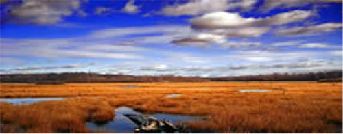 environmental history